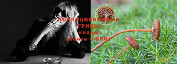 дурь Аркадак