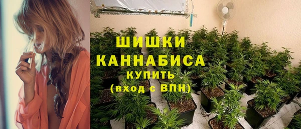 бошки Арсеньев