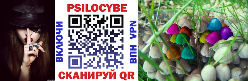 закладка  Губаха  Галлюциногенные грибы GOLDEN TEACHER 